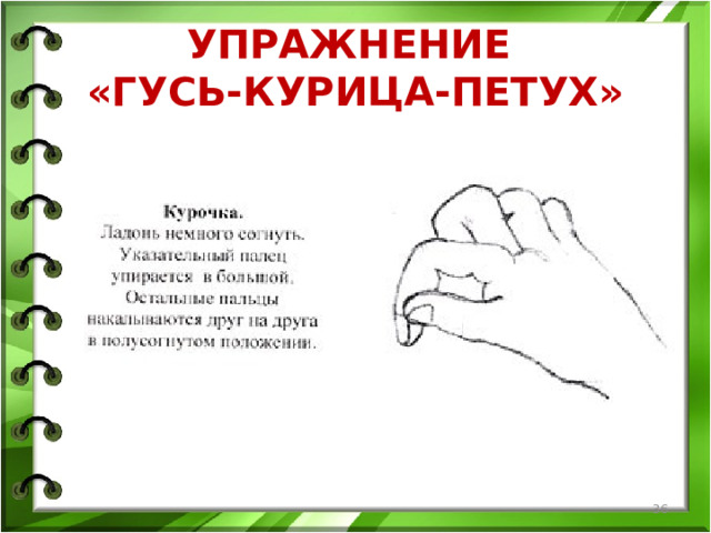 УПРАЖНЕНИЕ  «ГУСЬ-КУРИЦА-ПЕТУХ»  