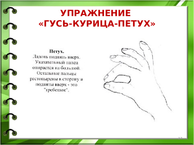 УПРАЖНЕНИЕ  «ГУСЬ-КУРИЦА-ПЕТУХ»  