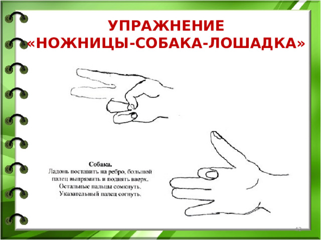 УПРАЖНЕНИЕ  «НОЖНИЦЫ-СОБАКА-ЛОШАДКА»  