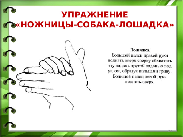 УПРАЖНЕНИЕ  «НОЖНИЦЫ-СОБАКА-ЛОШАДКА»  