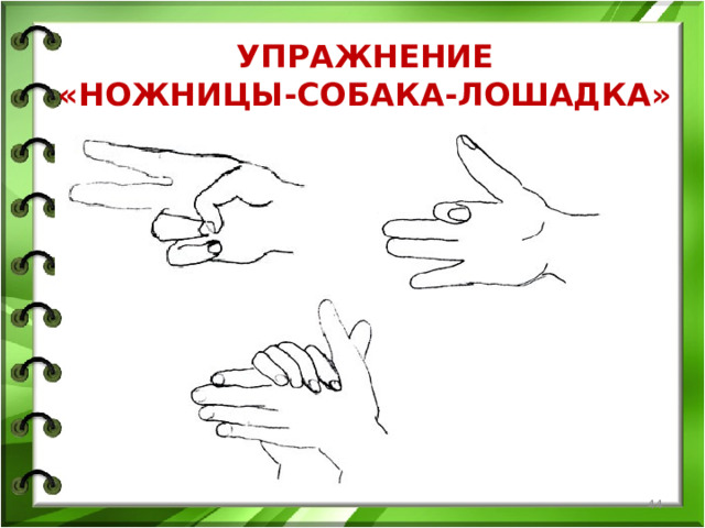 УПРАЖНЕНИЕ  «НОЖНИЦЫ-СОБАКА-ЛОШАДКА»  