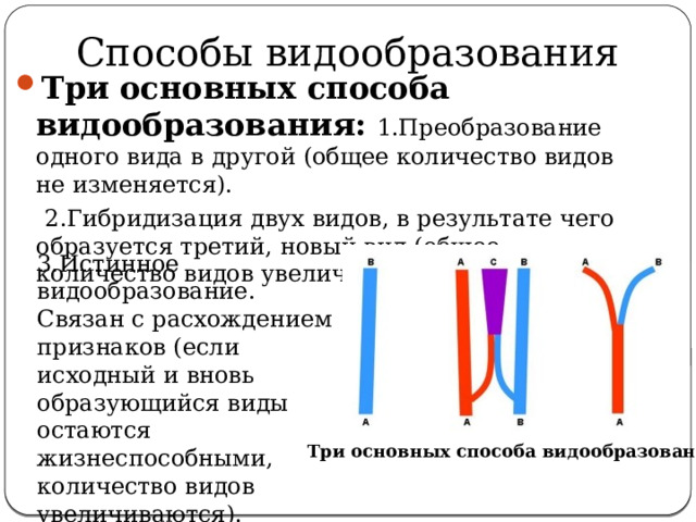 Способы видообразования Три основных способа видообразования:  1.Преобразование одного вида в другой (общее количество видов не изменяется).  2.Гибридизация двух видов, в результате чего образуется третий, новый вид (общее количество видов увеличивается). 3.Истинное видообразование. Связан с расхождением признаков (если исходный и вновь образующийся виды остаются жизнеспособными, количество видов увеличиваются). Три основных способа видообразования 