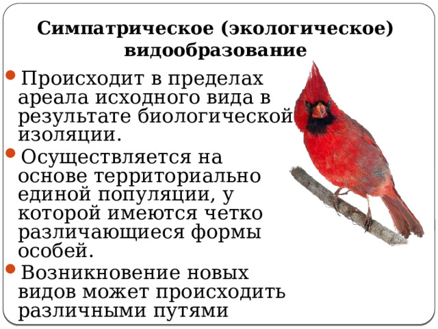 Симпатрическое (экологическое) видообразование  Происходит в пределах ареала исходного вида в результате биологической изоляции. Осуществляется на основе территориально единой популяции, у которой имеются четко различающиеся формы особей. Возникновение новых видов может происходить различными путями 