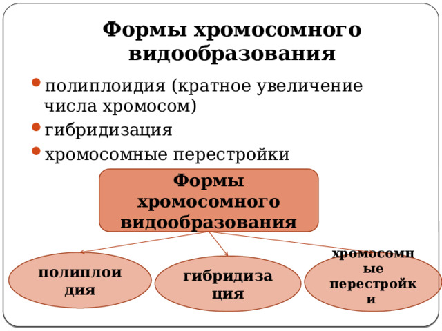 Формы хромосомного видообразования полиплоидия (кратное увеличение числа хромосом) гибридизация хромосомные перестройки Формы хромосомного видообразования полиплоидия хромосомные перестройки гибридизация 