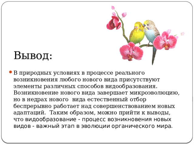 Вывод: В природных условиях в процессе реального возникновения любого нового вида присутствуют элементы различных способов видообразования. Возникновение нового вида завершает микроэволюцию, но в недрах нового  вида естественный отбор беспрерывно работает над совершенствованием новых адаптаций.  Таким образом, можно прийти к выводы, что видообразование - процесс возникновения новых видов - важный этап в эволюции органического мира. 
