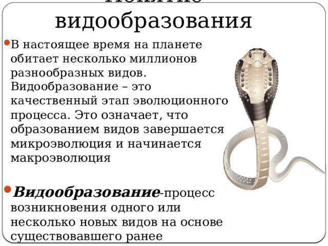 Понятие видообразования В настоящее время на планете обитает несколько миллионов разнообразных видов. Видообразование – это качественный этап эволюционного процесса. Это означает, что образованием видов завершается микроэволюция и начинается макроэволюция . Видообразование -процесс возникновения одного или несколько новых видов на основе существовавшего ранее 