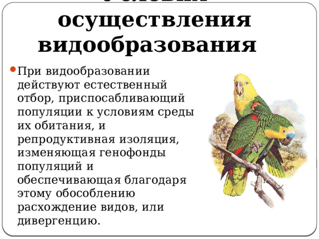 Условия осуществления видообразования При видообразовании действуют естественный отбор, приспосабливающий популяции к условиям среды их обитания, и репродуктивная изоляция, изменяющая генофонды популяций и обеспечивающая благодаря этому обособлению расхождение видов, или дивергенцию. 