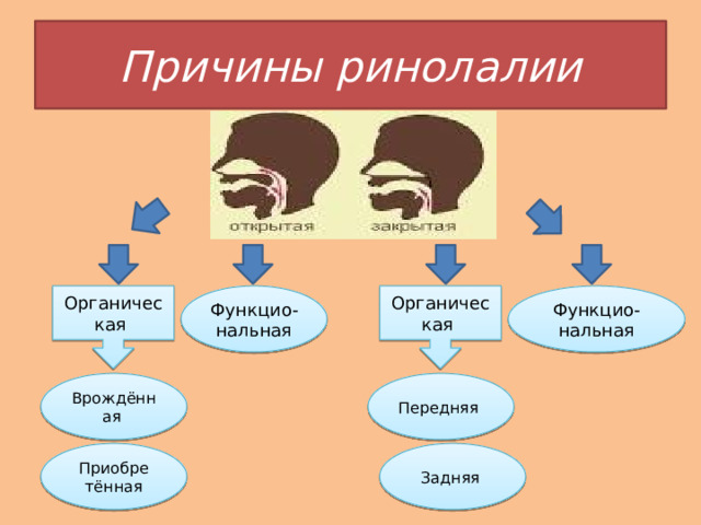 Причины ринолалии Органическая Органическая Функцио-нальная Функцио-нальная Врождённая Передняя Приобре Задняя тённая 