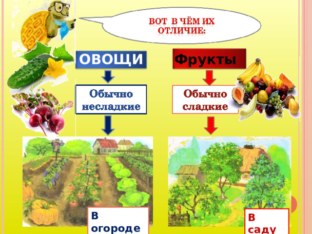 ОВОЩИ Фрукты В огороде В саду 
