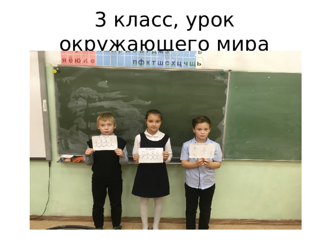 3 класс, урок окружающего мира 
