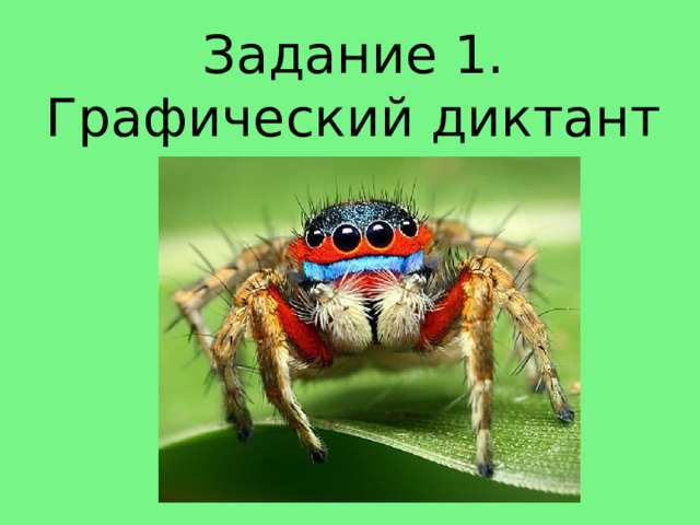 Задание 1.  Графический диктант «Волна» 
