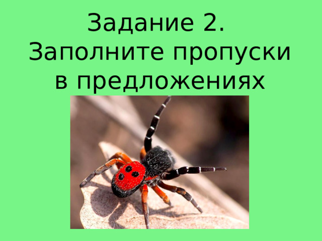 Задание 2.  Заполните пропуски в предложениях 