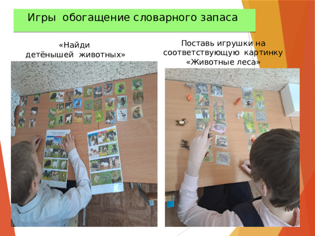 Игры обогащение словарного запаса  «Найди  детёнышей животных» Поставь игрушки на соответствующую картинку «Животные леса» 