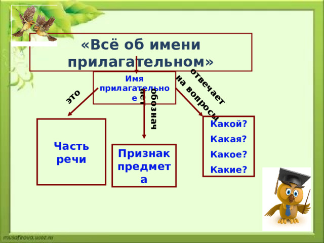 отвечает на вопросы обозначает это «Всё об имени прилагательном» Имя прилагательное Какой? Какая? Какое? Какие?  Часть речи  Признак предмета 