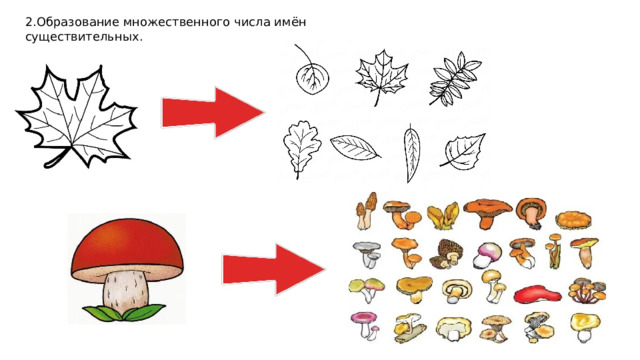 2.Образование множественного числа имён существительных. 