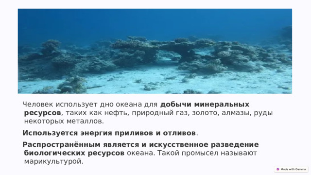 Человек использует дно океана для  добычи минеральных ресурсов , таких как нефть, природный газ, золото, алмазы, руды некоторых металлов. Используется энергия приливов и отливов .  Распространённым является и искусственное разведение биологических ресурсов  океана. Такой промысел называют марикультурой. 