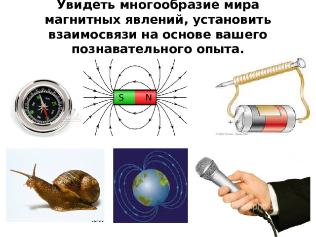 Увидеть многообразие мира магнитных явлений, установить взаимосвязи на основе вашего познавательного опыта.   