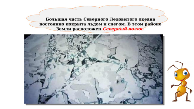  Большая часть Северного Ледовитого океана постоянно покрыта льдом и снегом. В этом районе Земли расположен Северный полюс . 