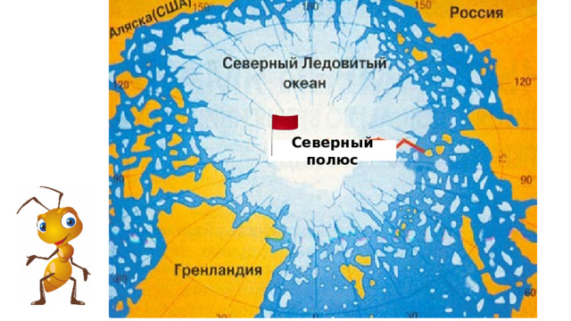 Северный полюс 
