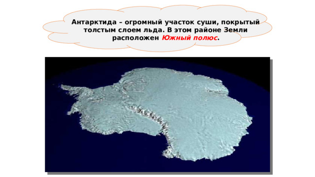  Антарктида – огромный участок суши, покрытый толстым слоем льда. В этом районе Земли расположен Южный полюс . 