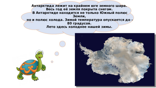  Антарктида лежит на крайнем юге земного шара.  Весь год её земля покрыта снегом.  В Антарктиде находится не только Южный полюс Земли,  но и полюс холода. Зимой температура опускается до – 80 градусов.  Лето здесь холоднее нашей зимы.   