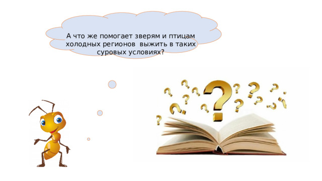  А что же помогает зверям и птицам холодных регионов выжить в таких суровых условиях? 