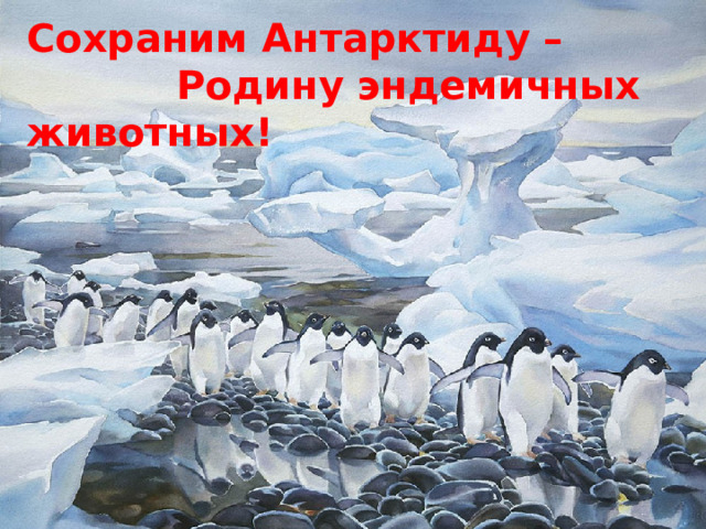 Сохраним Антарктиду –  Родину эндемичных животных! 