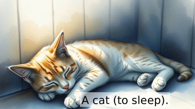 A cat (to sleep). 