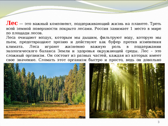 Лес — это важный компонент, поддерживающий жизнь на планете. Треть всей земной поверхности покрыто лесами. Россия занимает 1 место в мире по площади лесов. Леса очищают воздух, которым мы дышим, фильтруют воду, которую мы пьем, предотвращают эрозию и действуют как буфер против изменения климата. Леса играют жизненно важную роль в поддержании экологического баланса Земли и здоровья окружающей среды. Лес – это сложный организм. Он состоит из разных частей, каждая из которых имеет свое значение. Сломать этот организм быстро и просто, ведь он довольно хрупкий.  