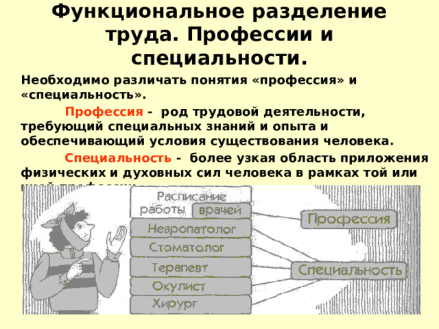 Функциональное разделение труда. Профессии и специальности.   Необходимо различать понятия «профессия» и «специальность».    Профессия - род трудовой деятельности, требующий специальных знаний и  опыта и обеспечивающий условия существования человека.    Специальность - более узкая область приложения физических и духовных сил человека в рамках той или иной профессии. 