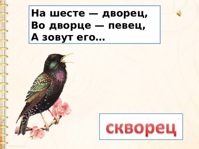 На шесте — дворец,   Во дворце — певец,   А зовут его… 