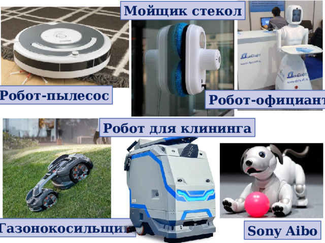 Мойщик стекол Робот-пылесос Робот-официант Робот для клининга Газонокосильщик Sony Aibo 