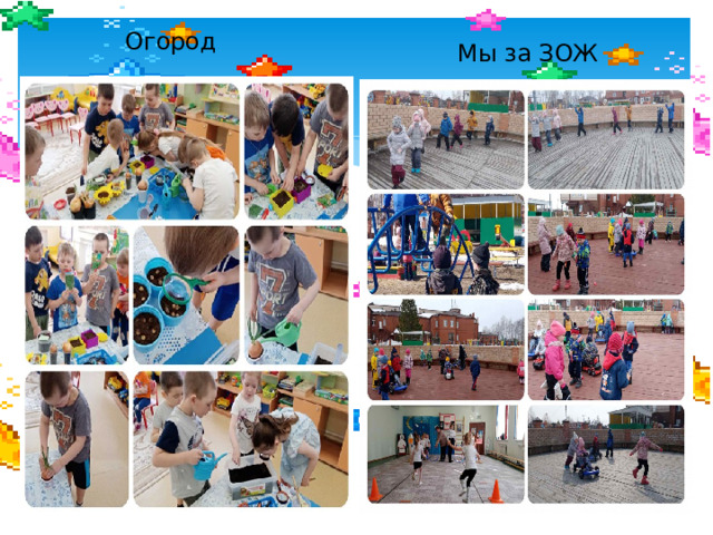 Огород Мы за ЗОЖ  