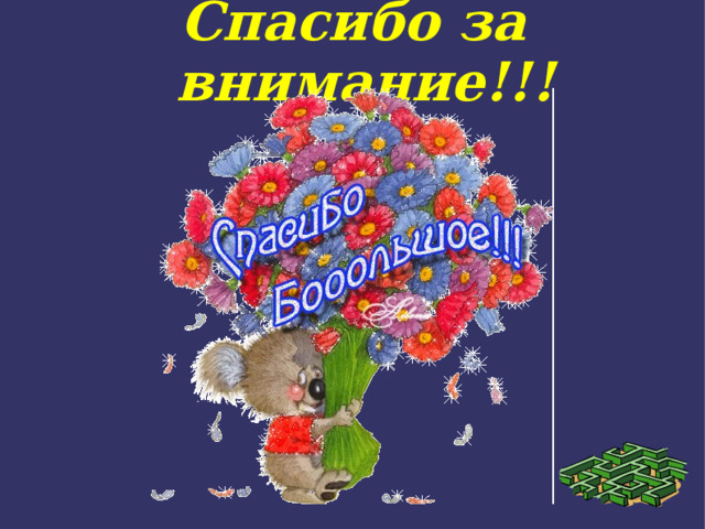 Спасибо за внимание!!! 