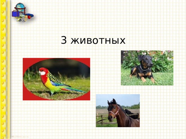 3 животных 