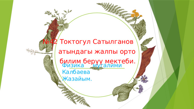 № 42 Токтогул Сатылганов атындагы жалпы орто билим берүү мектеби. Физика мугалими  Калбаева Жазайым.  