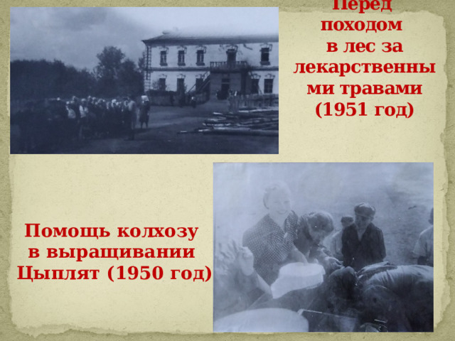 Перед походом  в лес за лекарственными травами (1951 год) Помощь колхозу в выращивании Цыплят (1950 год) 