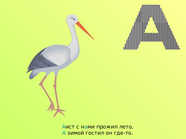 А ист с н а ми прожил лето,  А зимой гостил он где-то. 