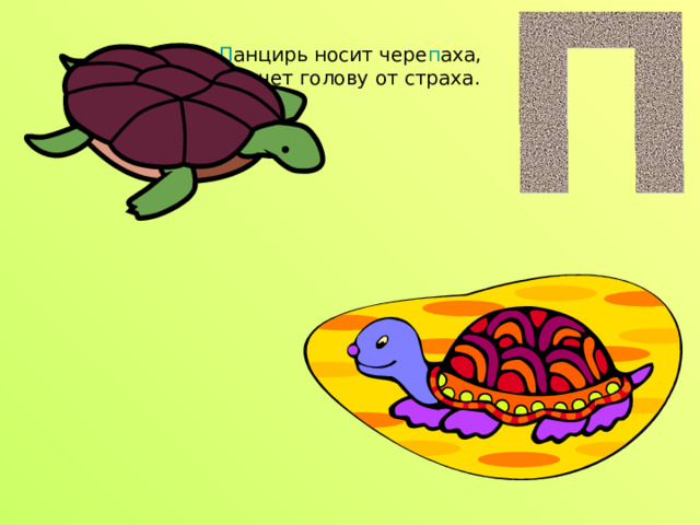 П анцирь носит чере п аха,  П рячет голову от страха. 