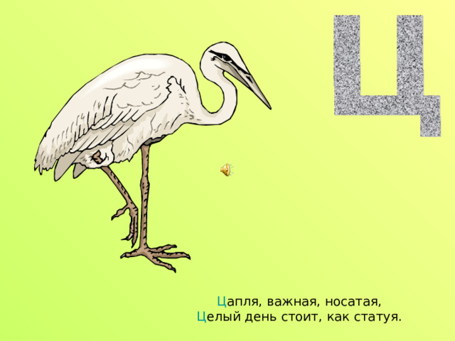 Ц апля, важная, носатая,  Ц елый день стоит, как статуя. 