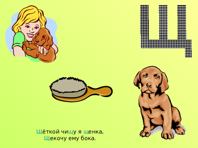 Щ ёткой чи щ у я щ енка,  Щ екочу ему бока. 