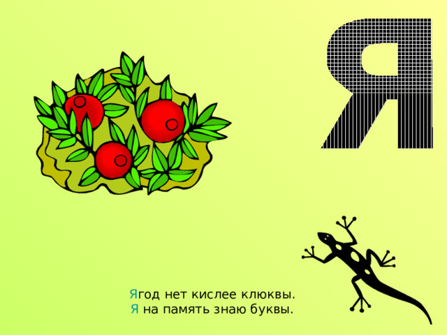 Я год нет кислее клюквы.  Я на память знаю буквы. 