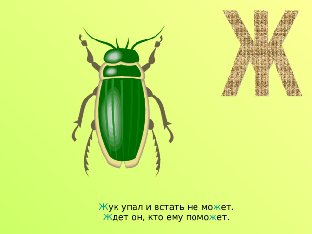 Ж ук упал и встать не мо ж ет.  Ж дет он, кто ему помо ж ет. 