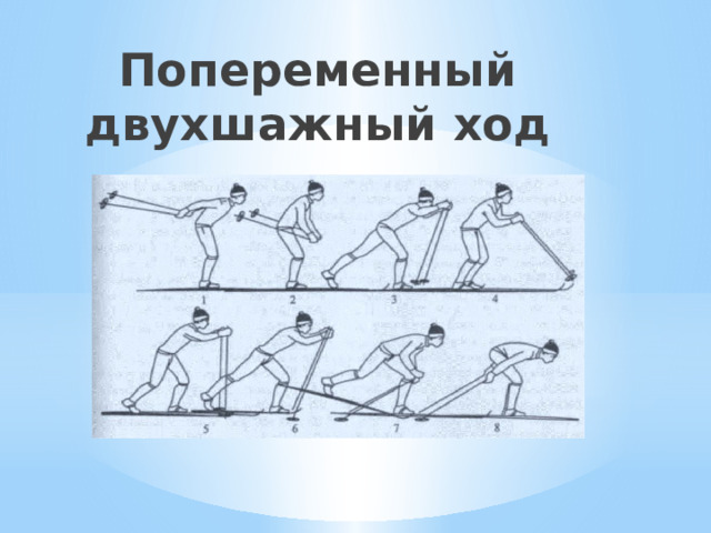 Попеременный двухшажный ход 