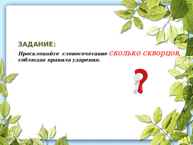 ЗАДАНИЕ:  Просклоняйте словосочетание  сколько скворцов , соблюдая правила ударения. 