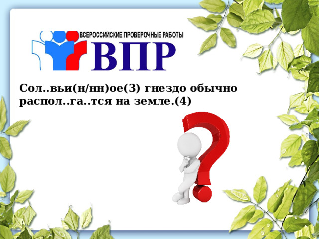 Сол..вьи(н/нн)ое(3) гнездо обычно распол..га..тся на земле.(4) 