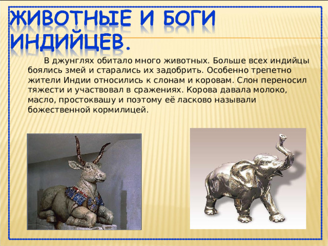  В джунглях обитало много животных. Больше всех индийцы боялись змей и старались их задобрить. Особенно трепетно жители Индии относились к слонам и коровам. Слон переносил тяжести и участвовал в сражениях. Корова давала молоко, масло, простоквашу и поэтому её ласково называли божественной кормилицей. 