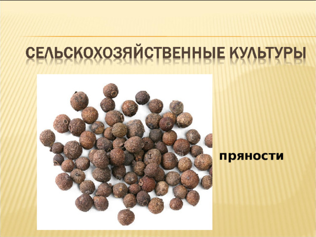 пряности 