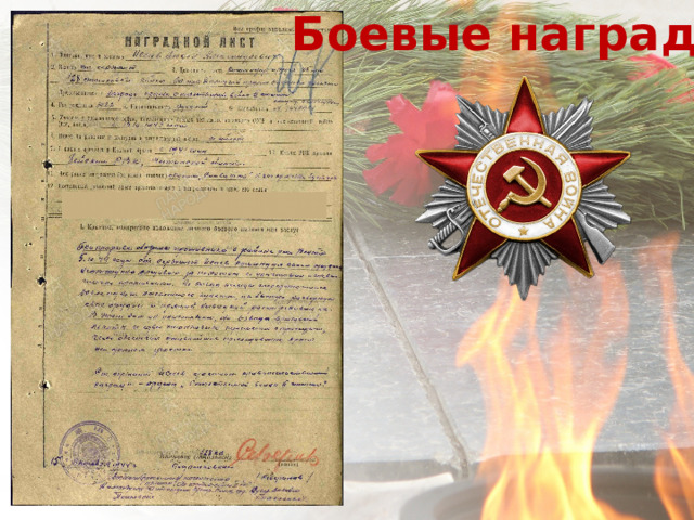 Боевые награды              Орден  Отечественной  войны  II степени 