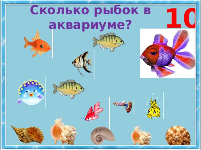10 Сколько рыбок в аквариуме? 